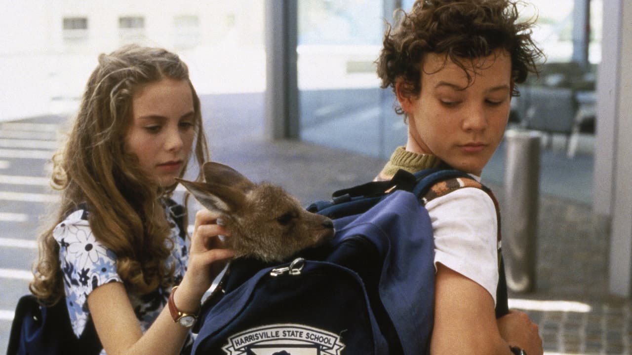 Joey, un canguro en la ciudad