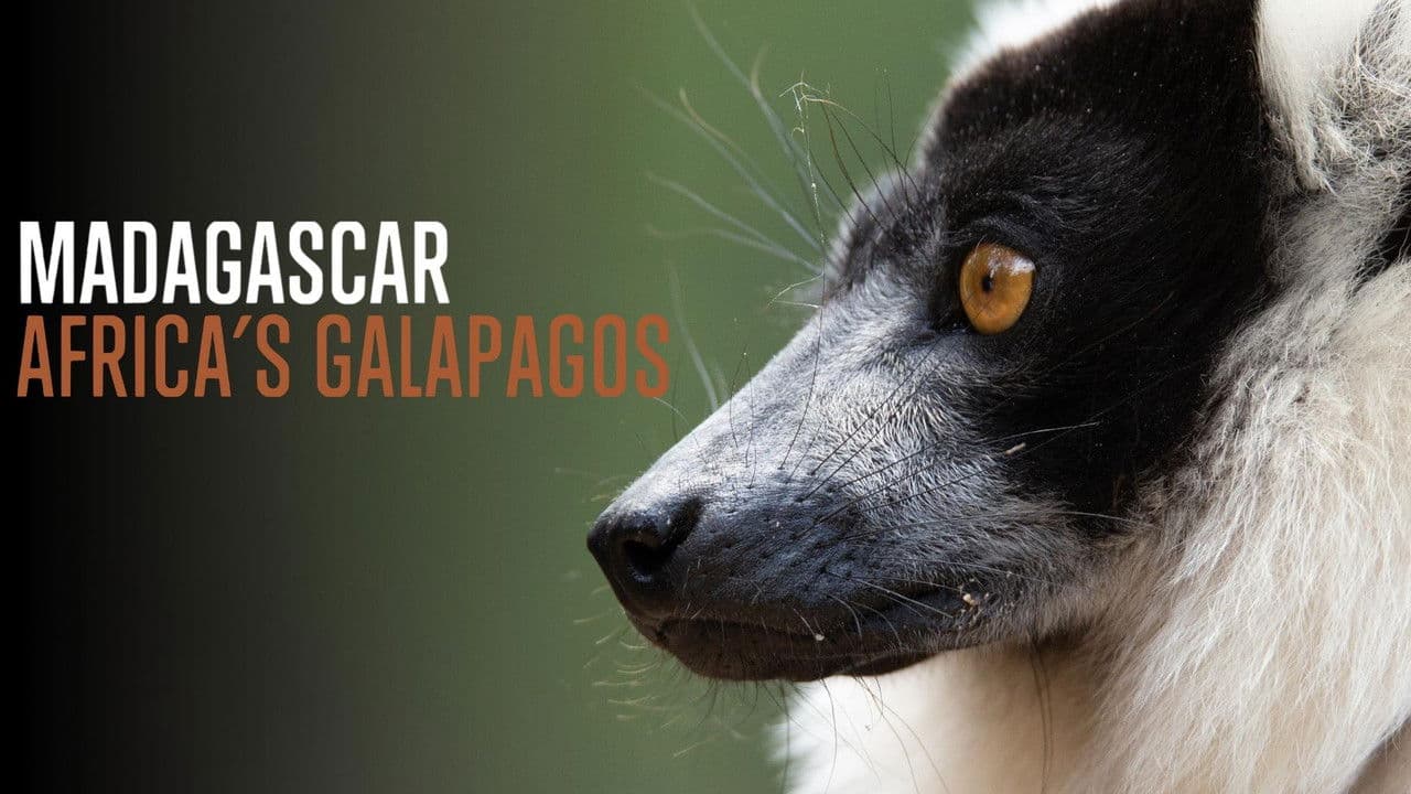 Madagascar: Las Galápagos de África