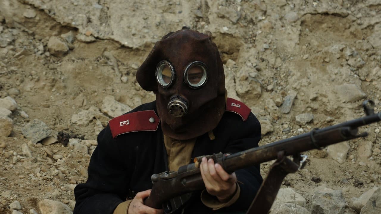 Diarios de la Gran Guerra