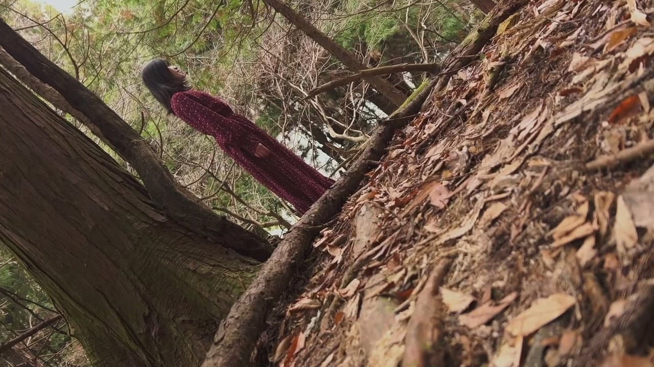 白石晃士の決して送ってこないで下さい