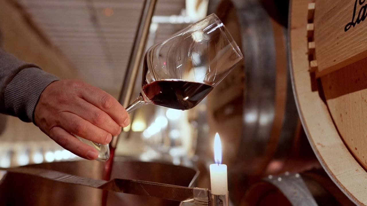 Rioja, la tierra de los mil vinos