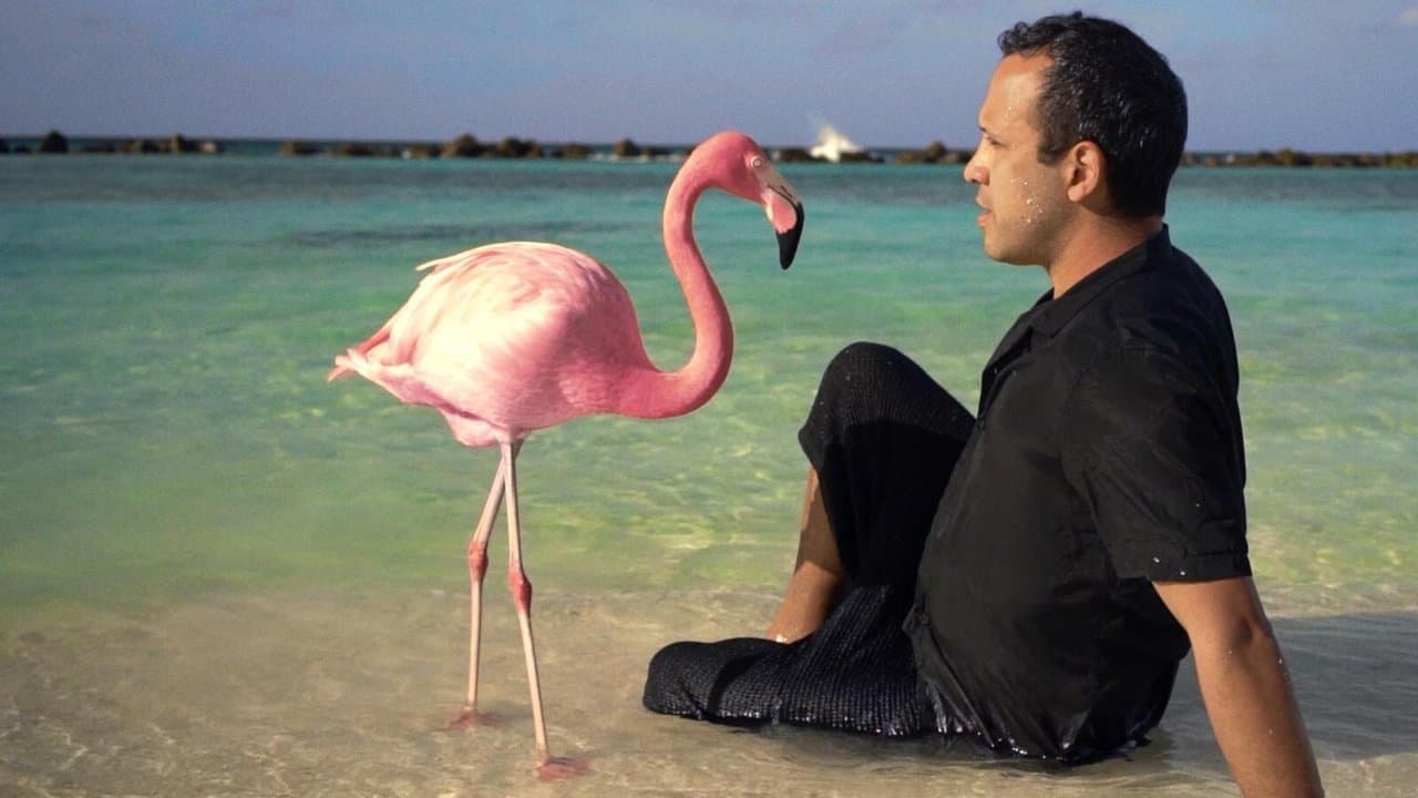 El misterio del Pink Flamingo