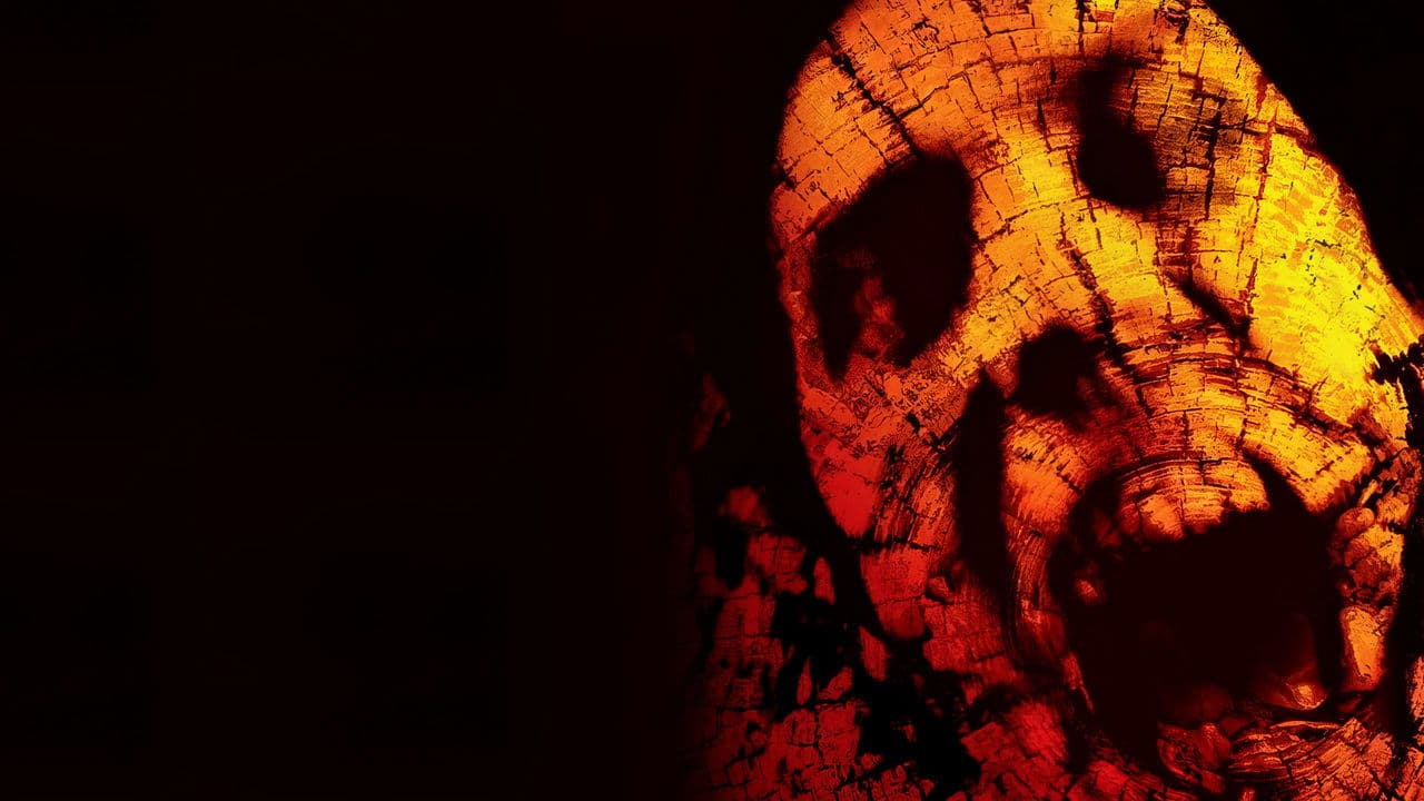 El libro de las sombras (BW2)