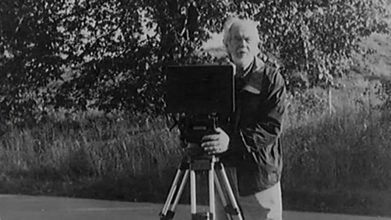 Lumière y compañía