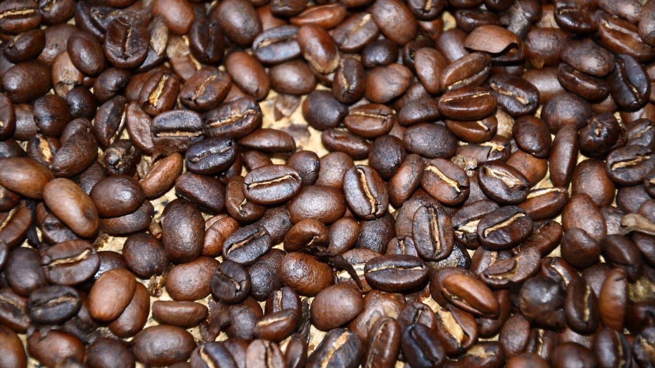 Oro negro