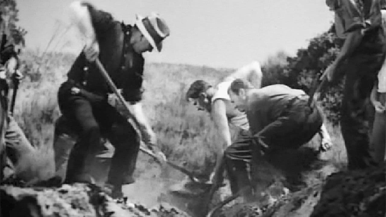 El pan nuestro de cada día