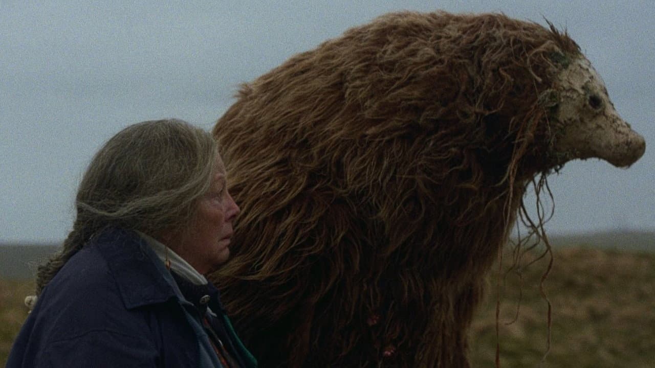 Un oso recuerda