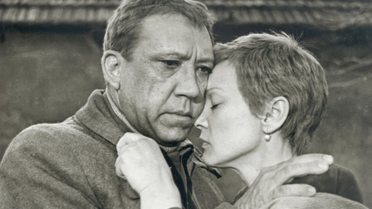 Veinte días sin guerra