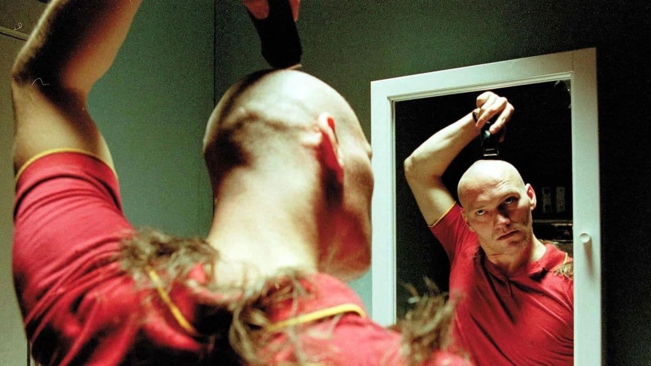 Ángeles del universo