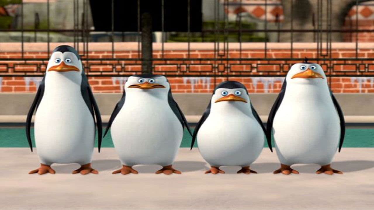 Los Pinguinos de Madagascar: Nuevo en el Zoo