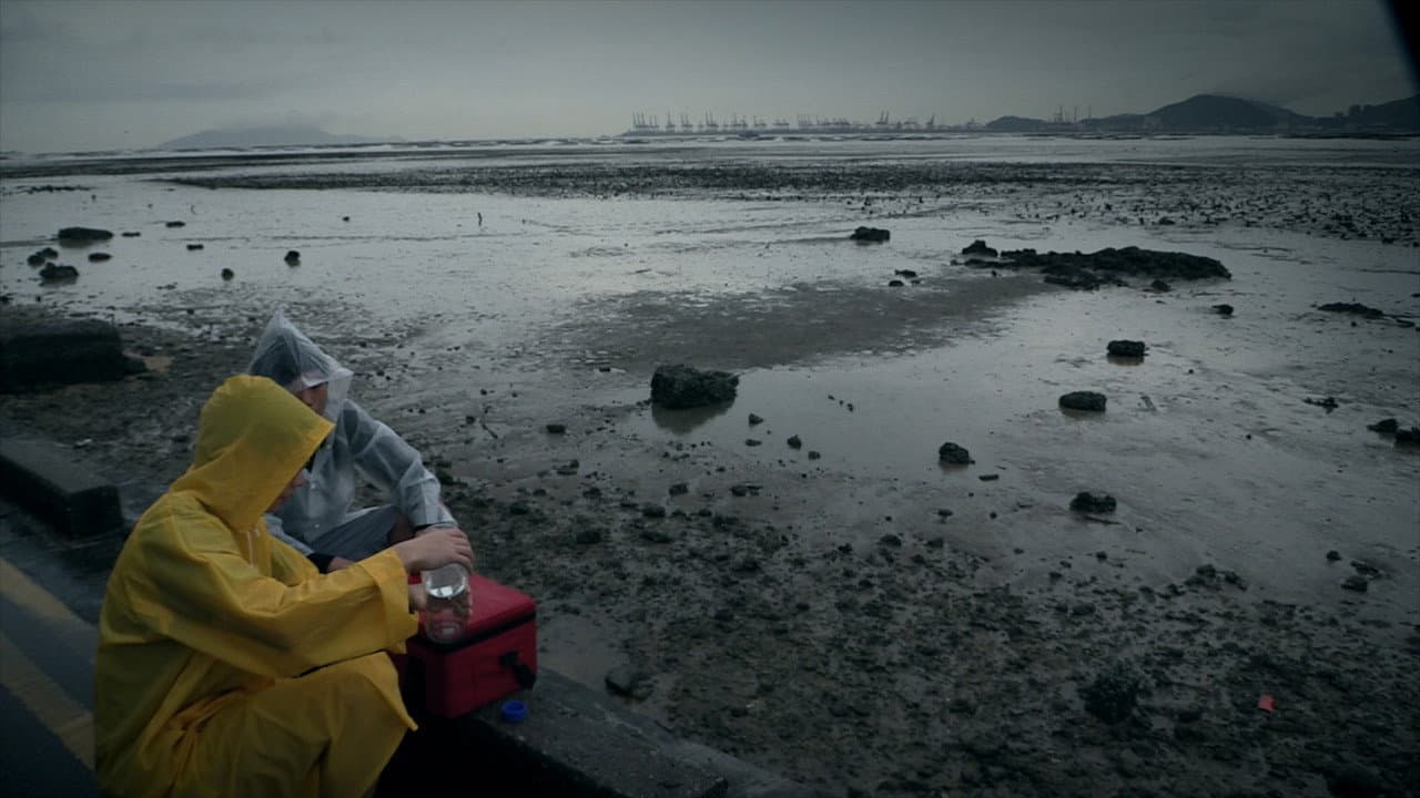 作為雨水：表象及意志