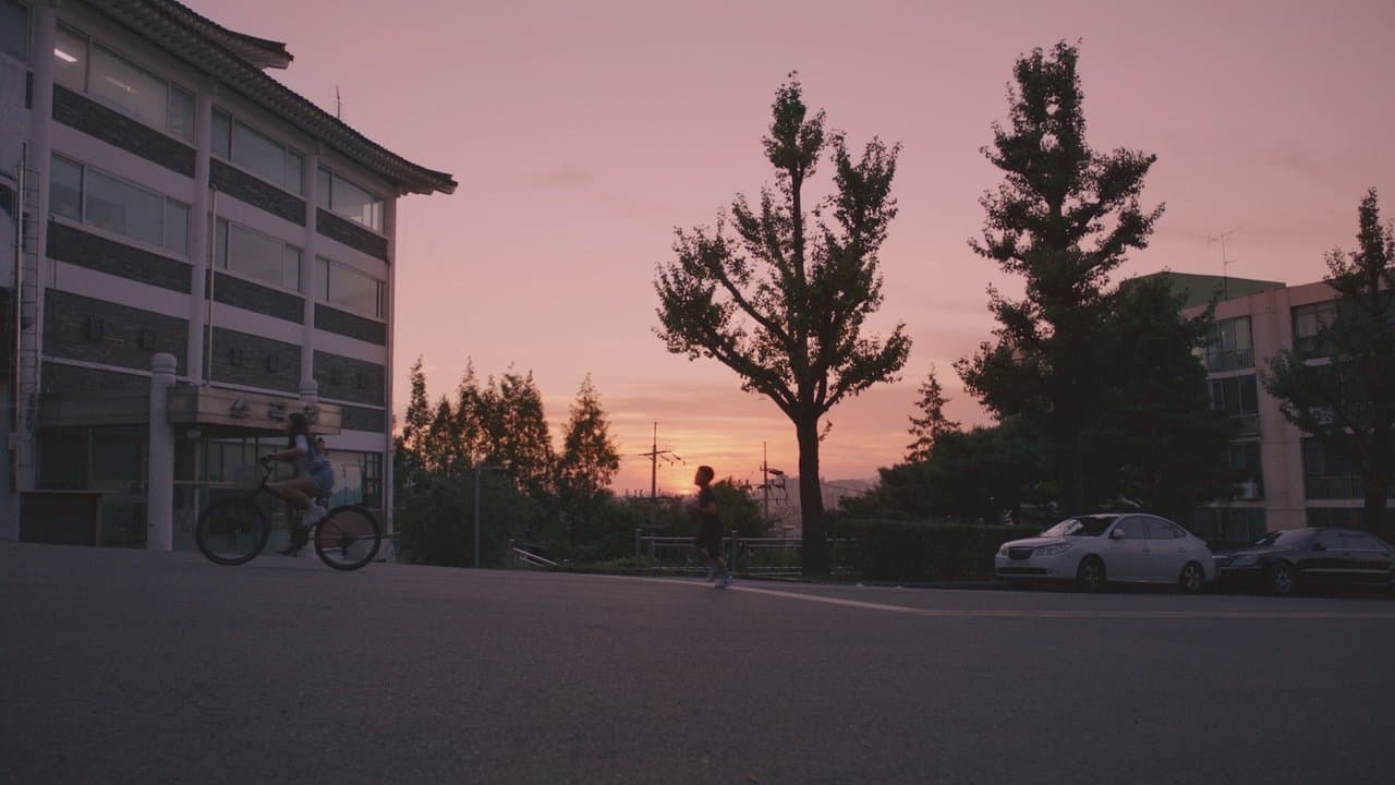 Hermanos en una noche de verano