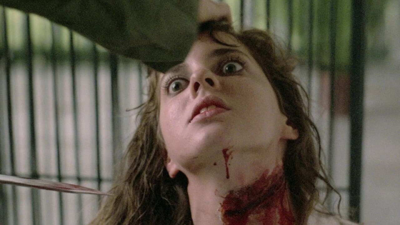 Los Pájaros Asesinos (Killing Birds)