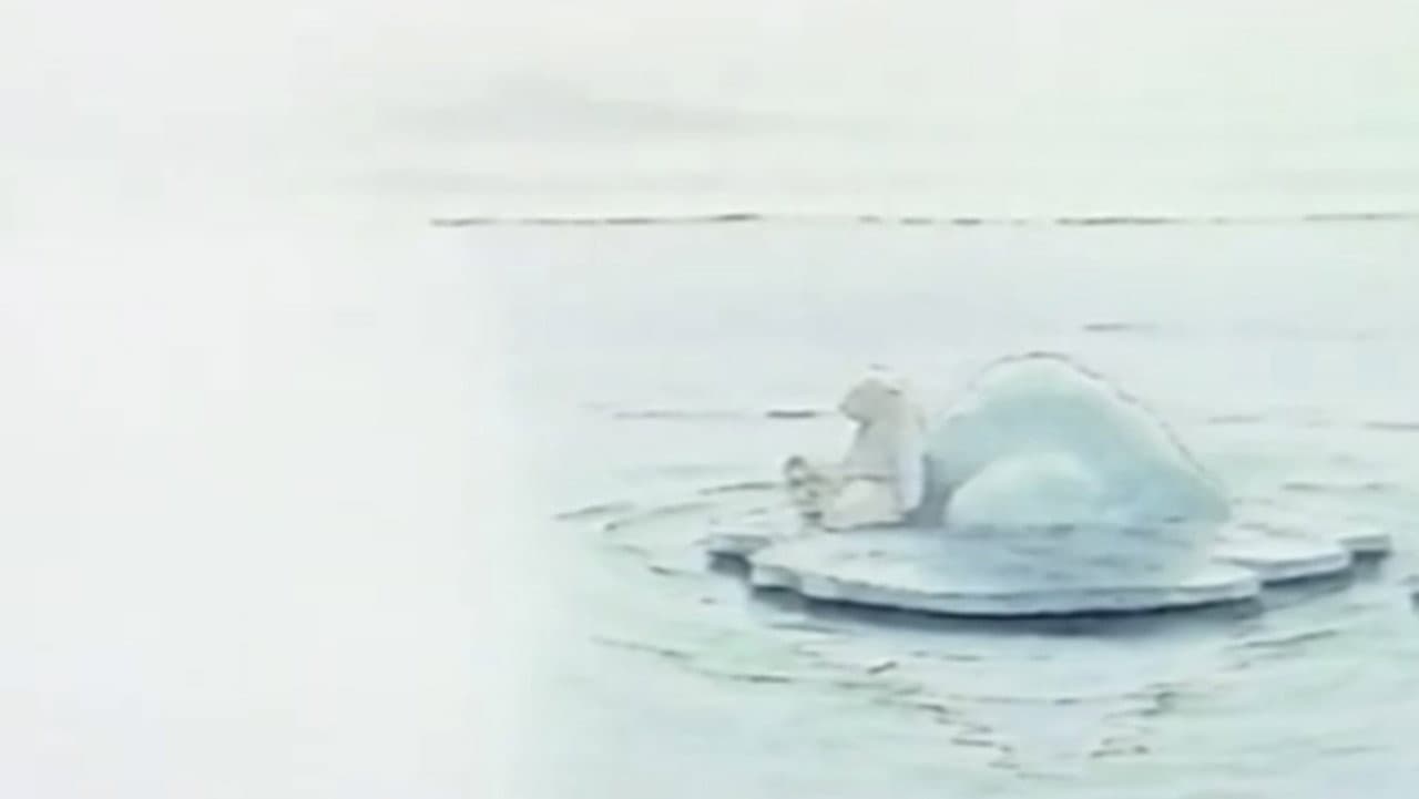 しろくまくん、どこへ？