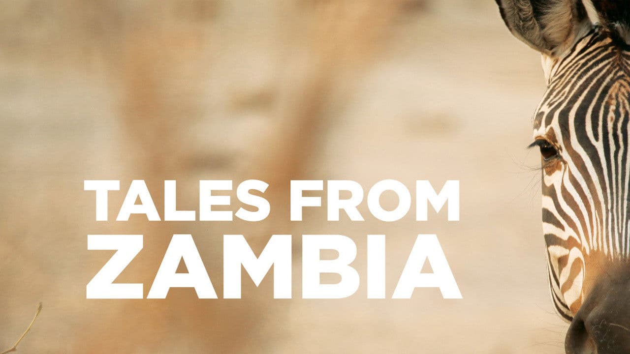 Cuentos de Zambia (Tales from Zambia)