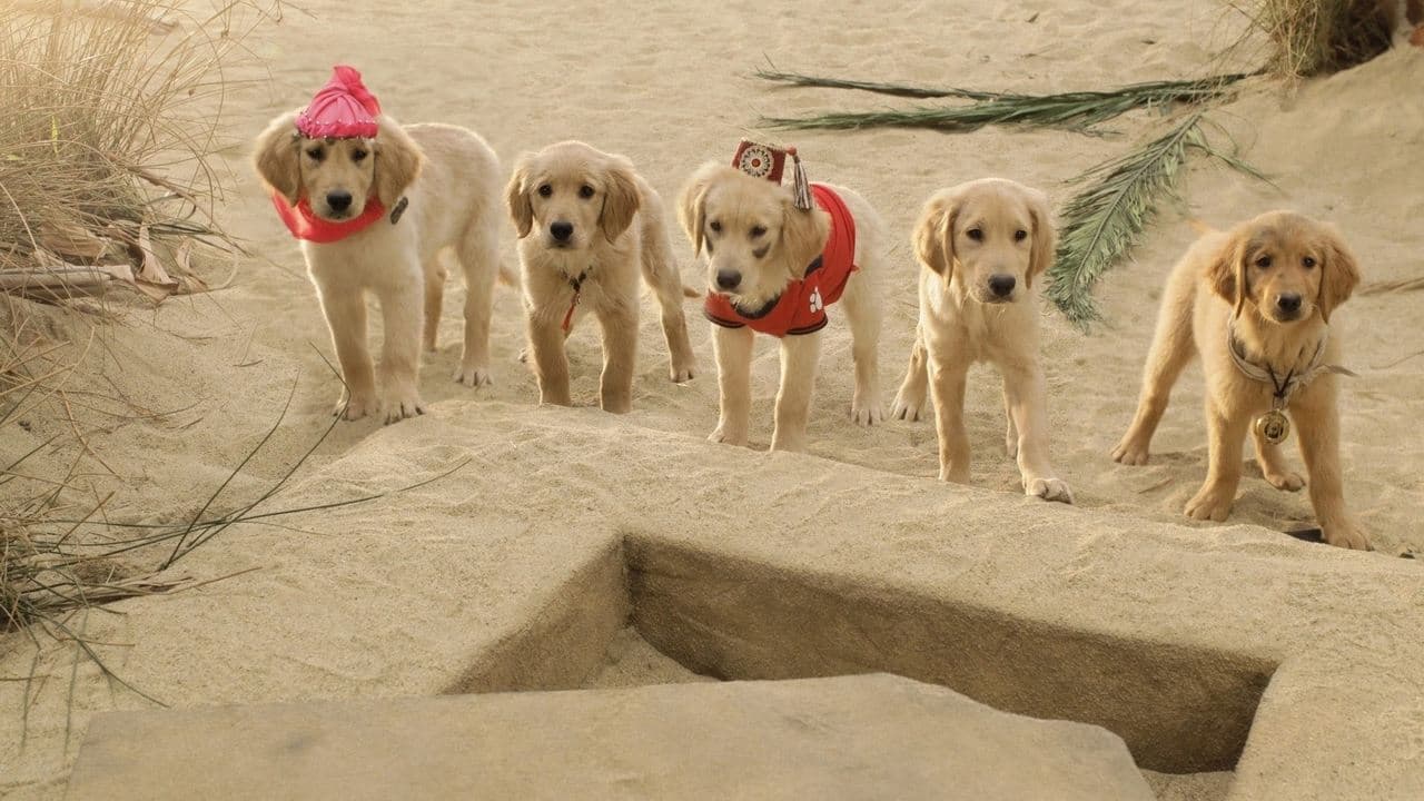 Los Buddies cazatesoros