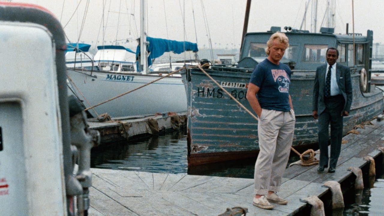 Se busca vivo o muerto