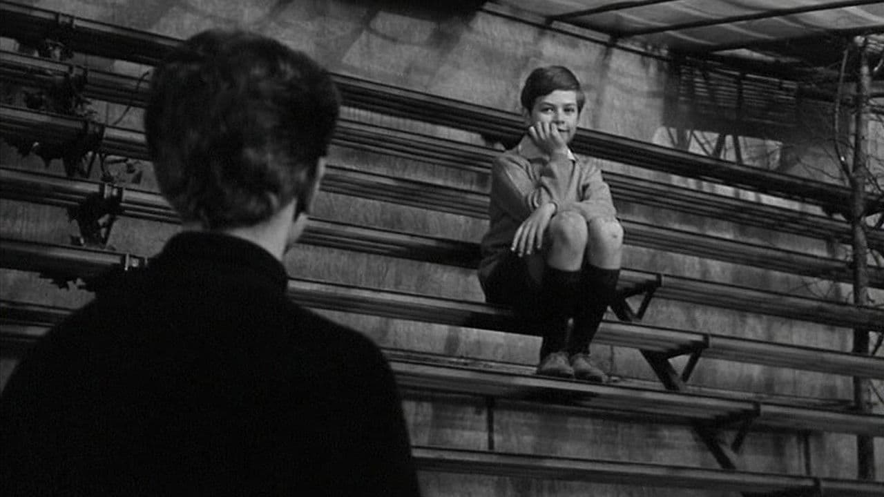 Amistades particulares