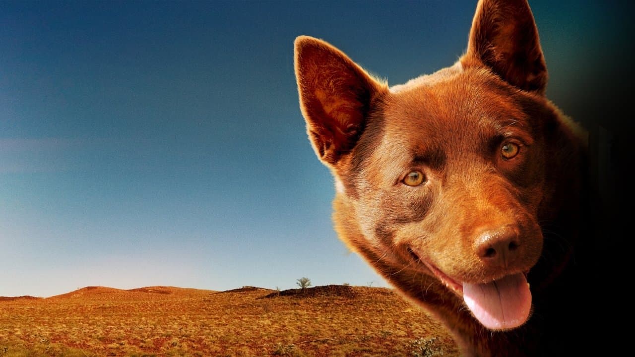 Red Dog, una historia de lealtad