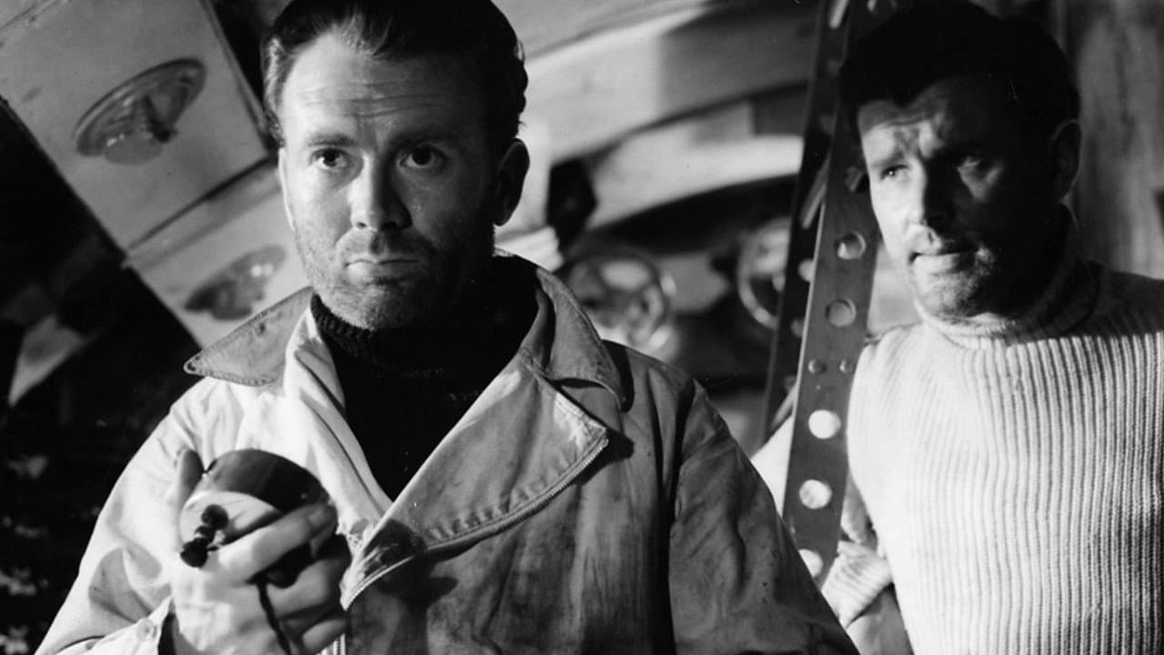 Nos sumergimos al amanecer