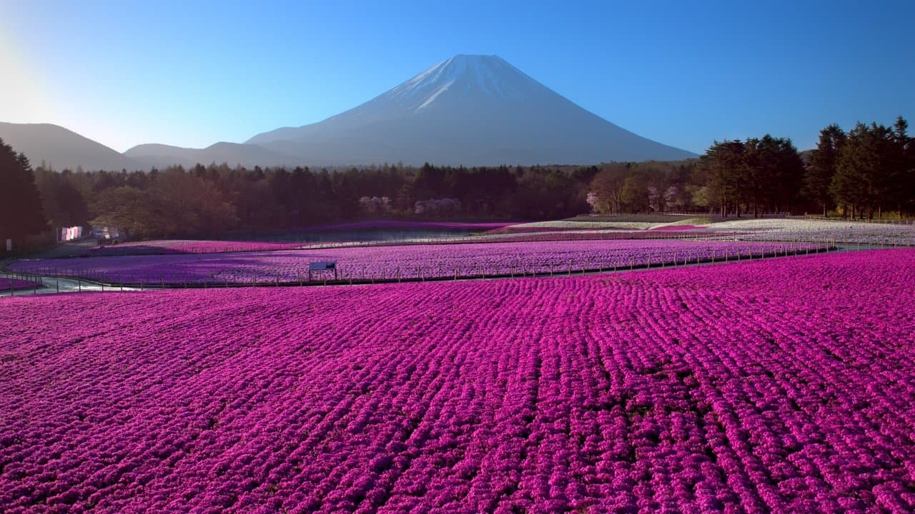 Le Japon vu du ciel