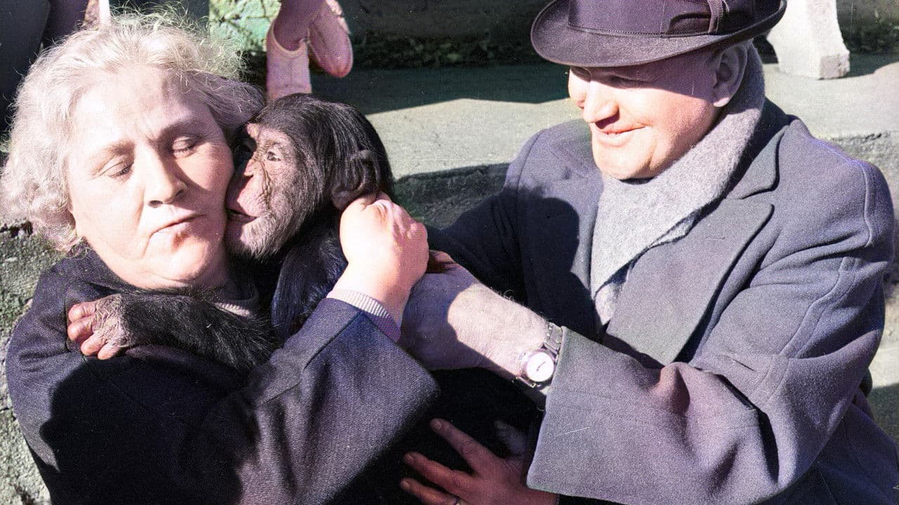 En el país del silencio y la oscuridad