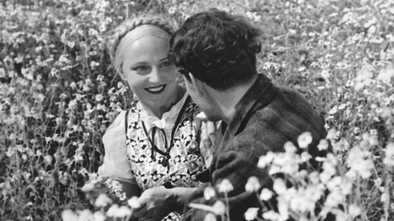 Laulu tulipunaisesta kukasta