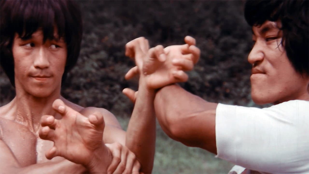 La saga de Bruce Lee