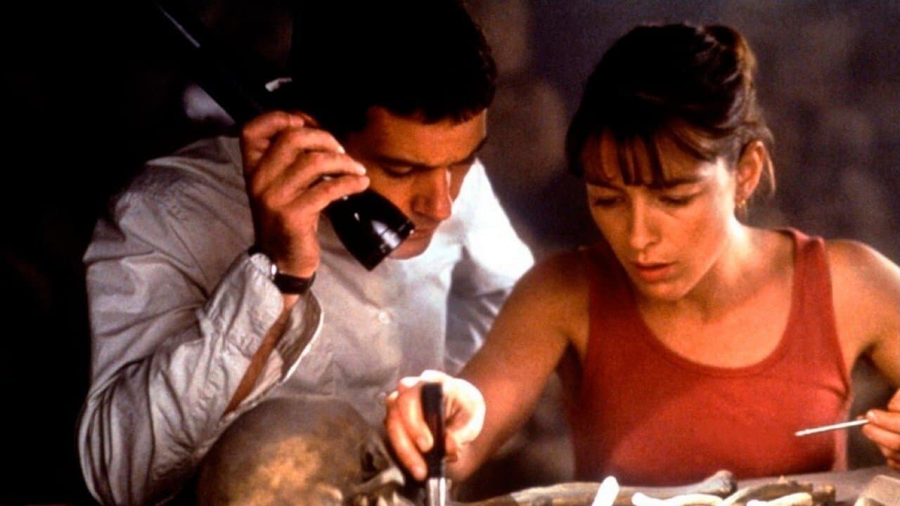 The body (El cuerpo)