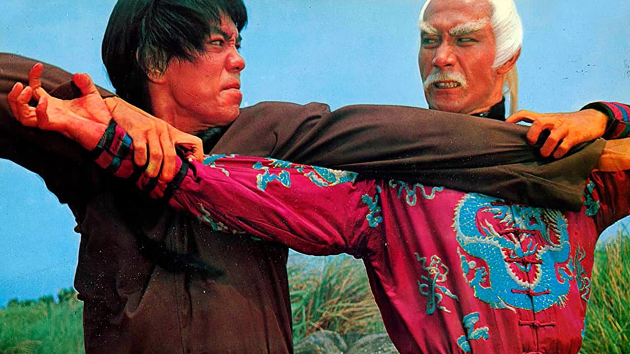 Los 10 Hermanos Shaolin