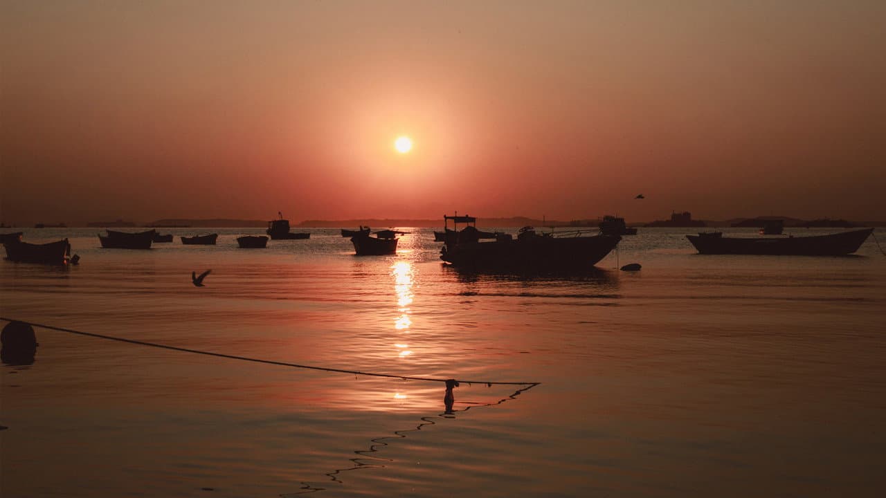 Antes do Último Adeus