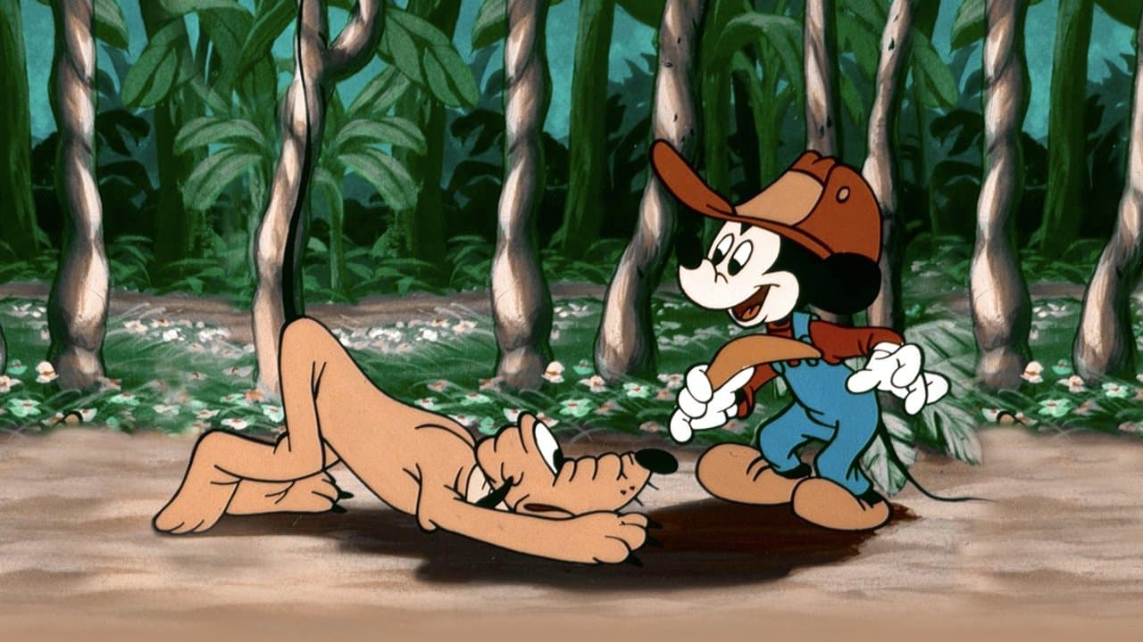 Mickey en Australia