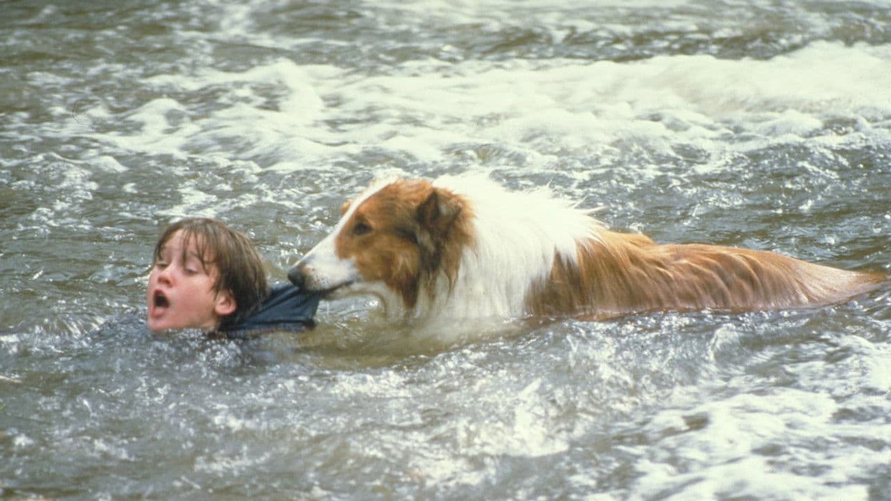 El regreso de Lassie