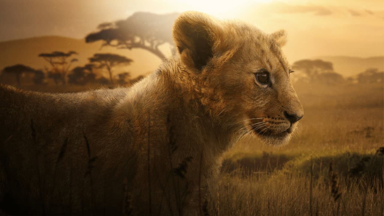 León