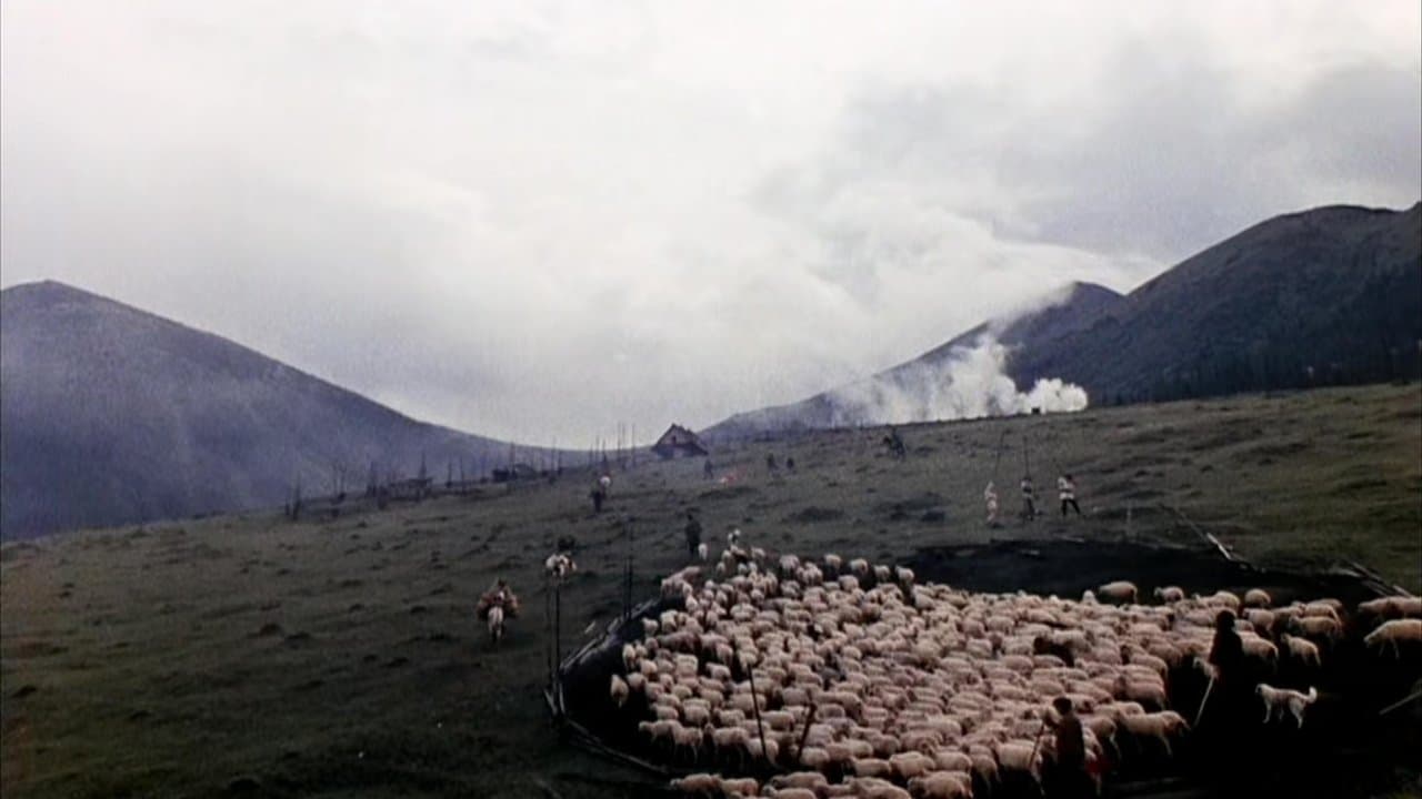 Los corceles de fuego