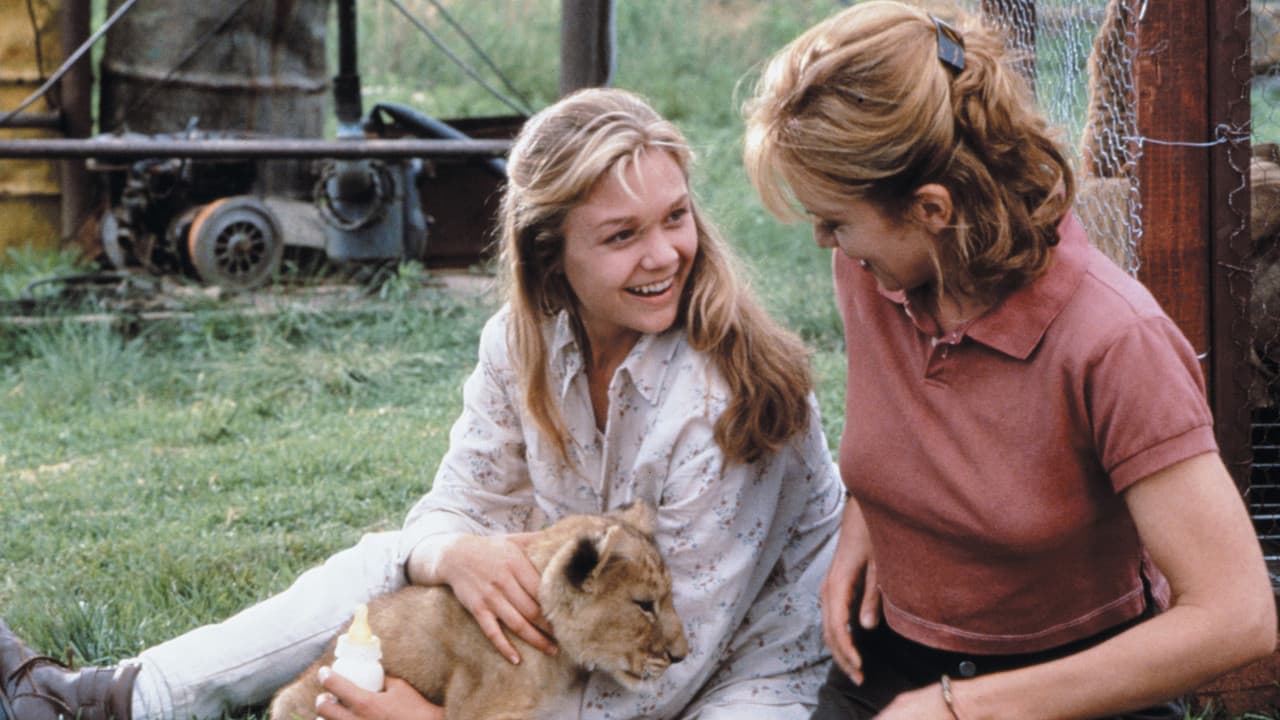 Nacida libre, una nueva aventura