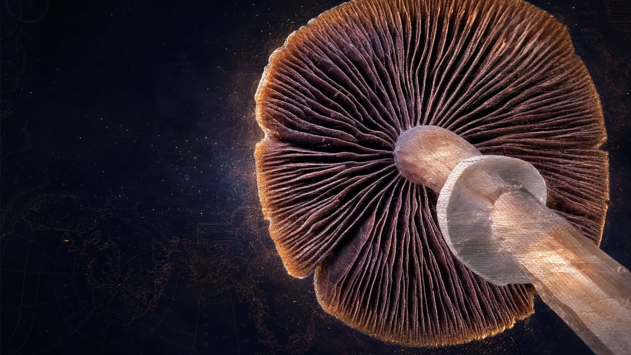 Cosmic Heirloom: Buried 400 Years
