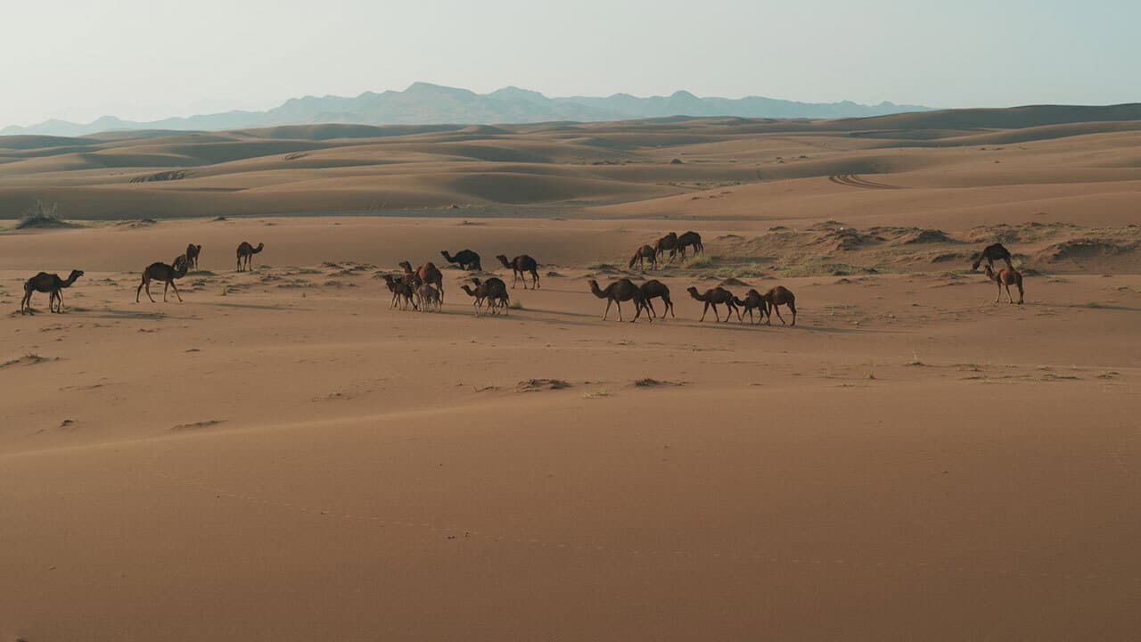L'Iran vu du ciel
