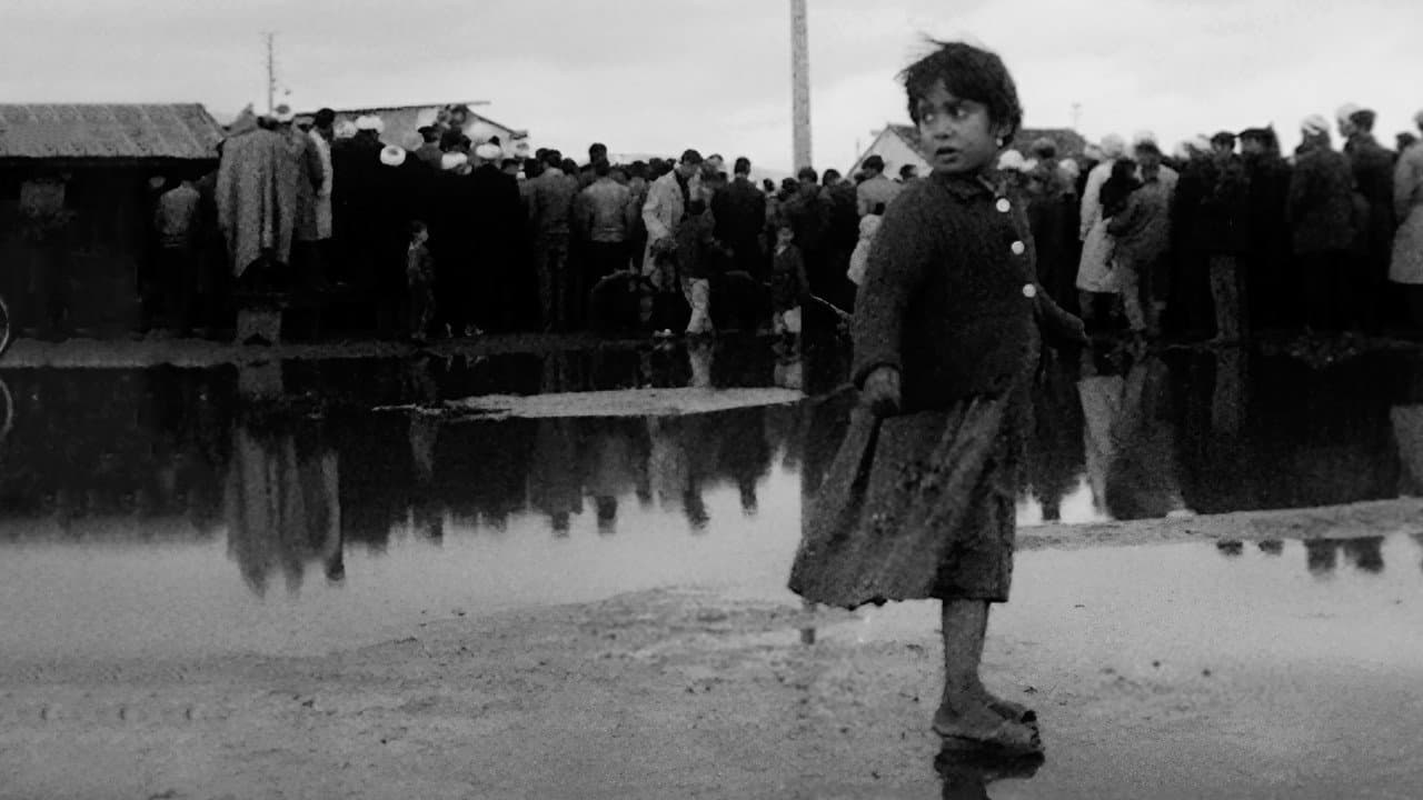 Algérie, année zéro