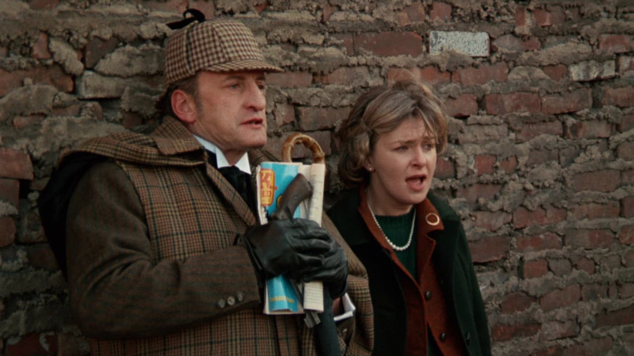 El detective y la doctora