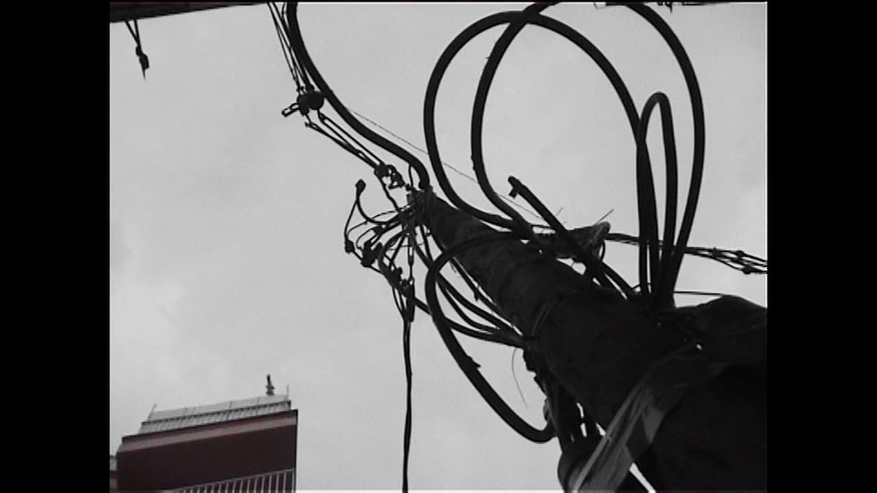Cementiri d'antenes