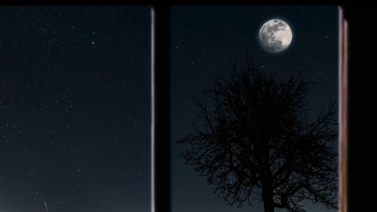 Moon Town