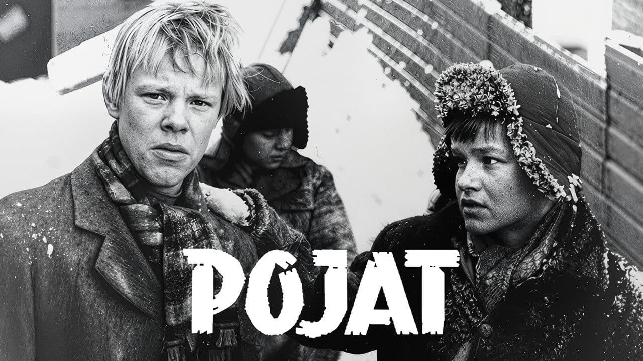 Pojat