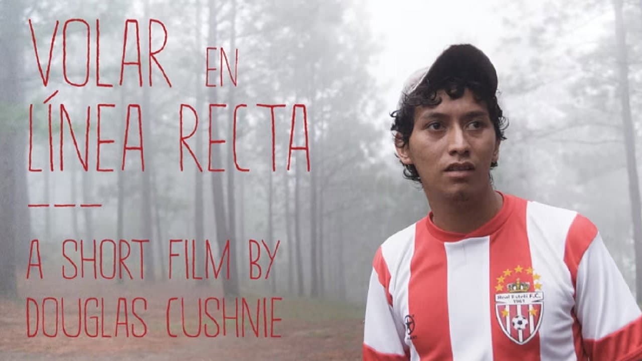 Volar en línea recta