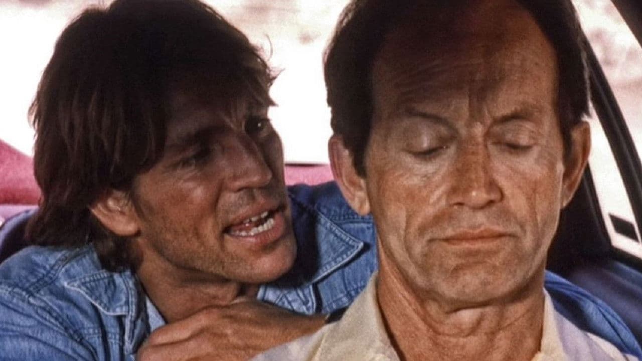 Sombra en la carretera