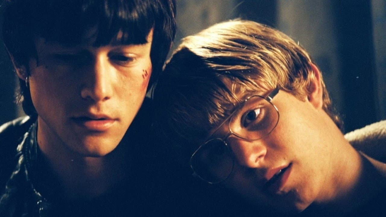 Mysterious Skin (Oscura inocencia)