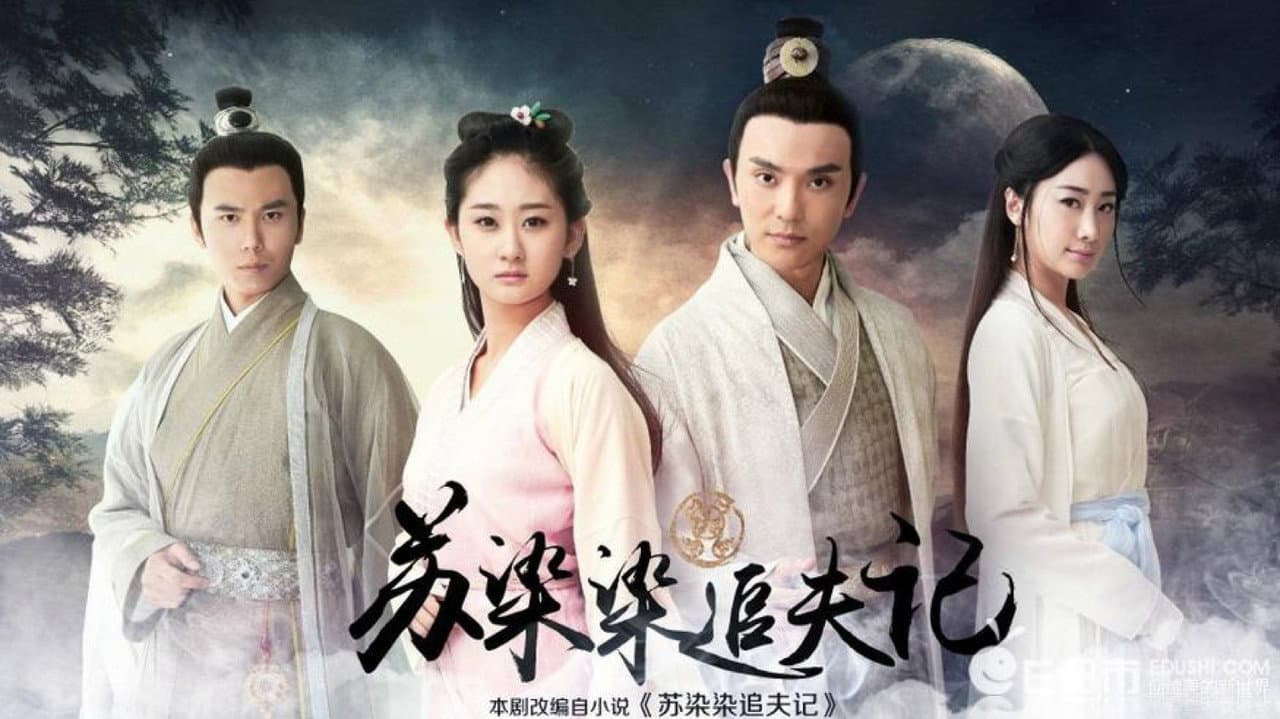 苏染染追夫记