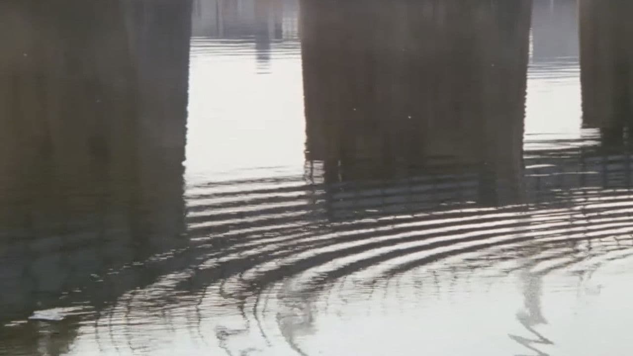 銀座ネオン街　女の絶頂