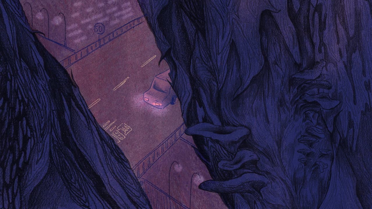 The Peel 褪皮 以及露出來的