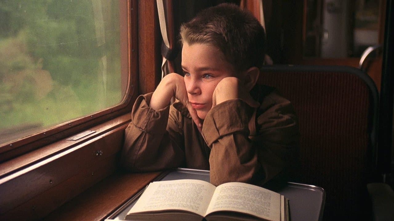 Mi vida como un perro